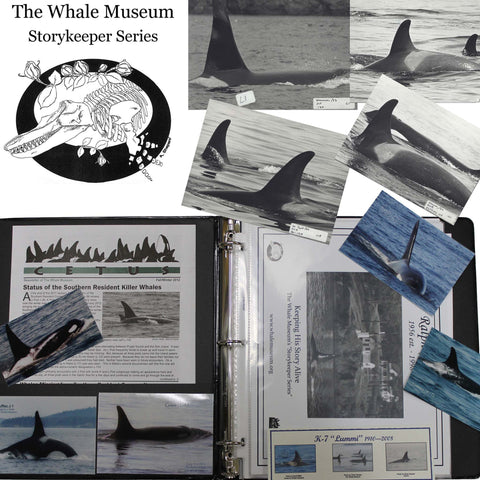 The Whale Museum's Storykeepers Series
