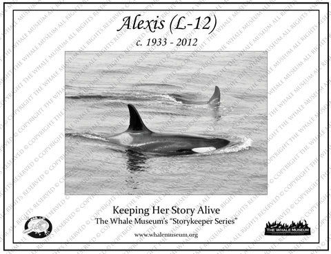 Alexis (L-12) Storykeeper