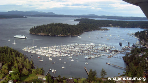 Friday Harbor Arial Background
