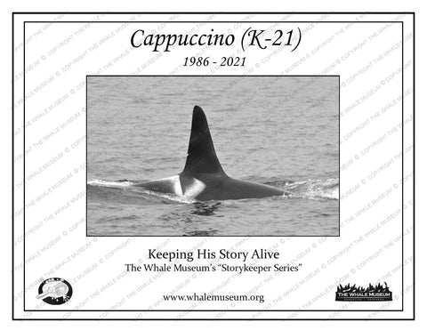 Cappuccino (K-21) Storykeeper