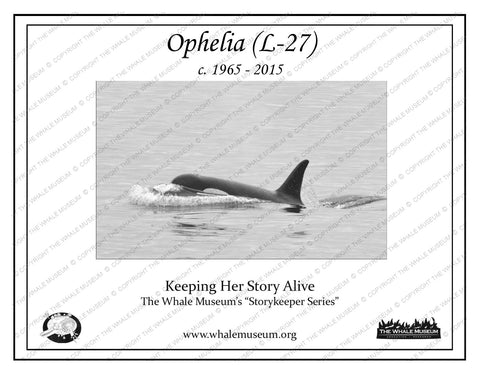 Ophelia (L-27) Storykeeper