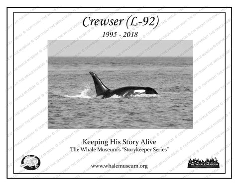 Crewser (L-92) Storykeeper