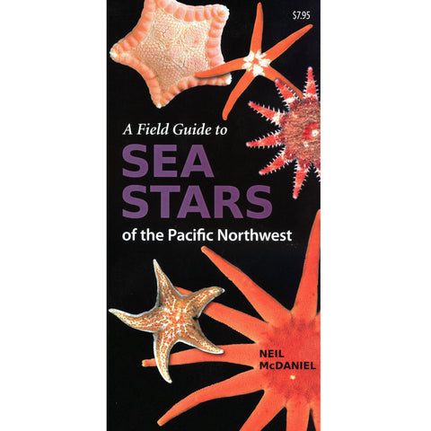 Field Guide to Sea Stars of PNW