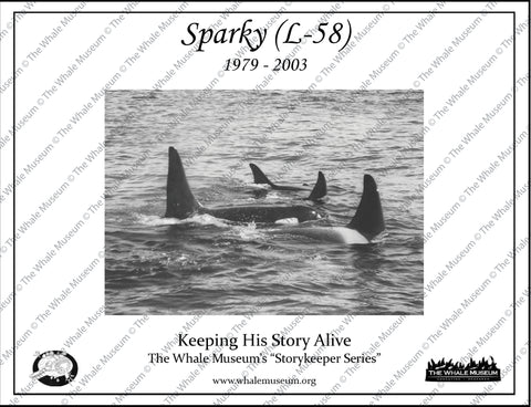 Sparky (L-58) Storykeeper
