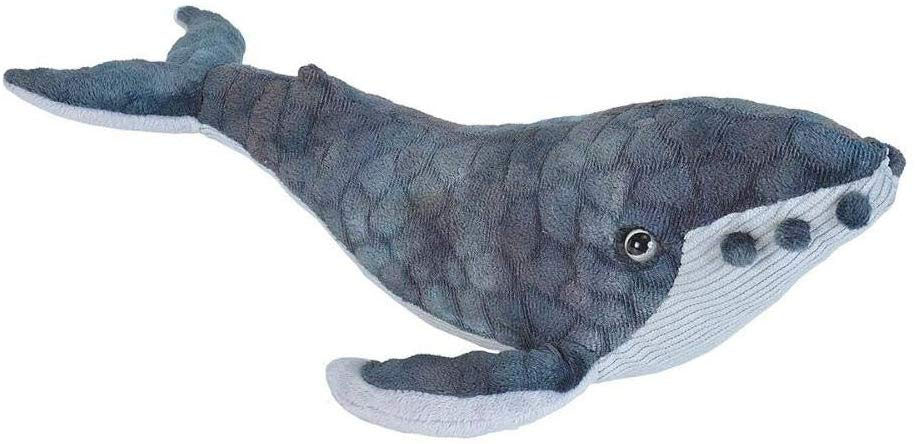 CK - Mini Humpback