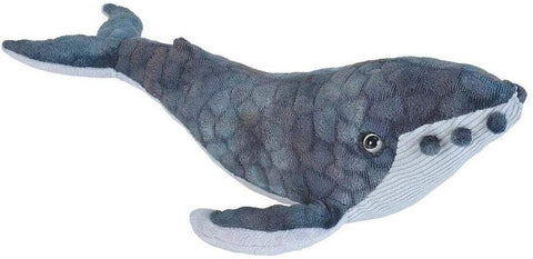 CK - Mini Humpback