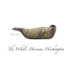 The Whale Museum Note Card Series