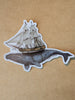 Dorsal Fine Design stickers