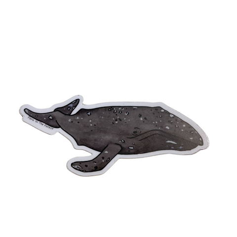 Gray Whale Watercolor Sticker