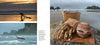 Salmon, Cedar, Rock & Rain