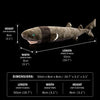 Cookiecutter Shark