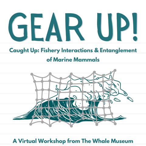 Gear Up Virtual Workshop 2026