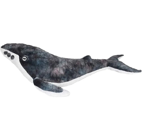 Humpback Whale CK
