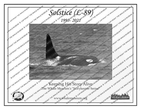 Solstice (L-89) Storykeeper