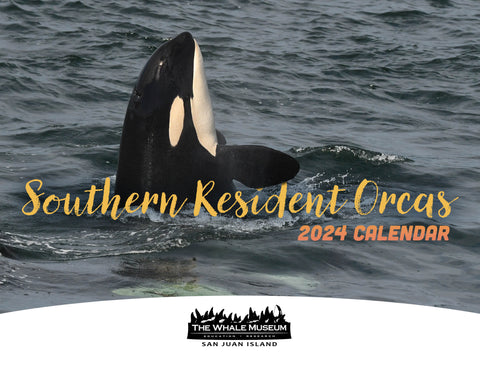 Southern Resident Orcas: 2024 Wall Calendar