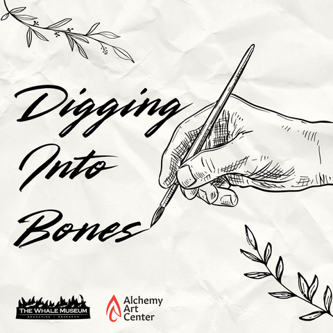 Whale Bones Art Class