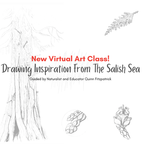Drawing Inspiration from the Salish Sea: Nature Journaling San Juan Island Class