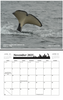 The Whale Museum 2025 Calendar: Scenes of The San Juan Islands