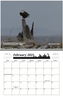 The Whale Museum 2025 Calendar: Scenes of The San Juan Islands