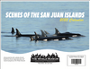 The Whale Museum 2025 Calendar: Scenes of The San Juan Islands