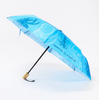 Cognitive Surplus Umbrellas