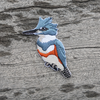 Bird Collective Patches