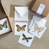 Yeesan Loh Mini Cards Set
