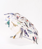 Cognitive Surplus Umbrellas