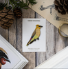 Bird Collective Patches