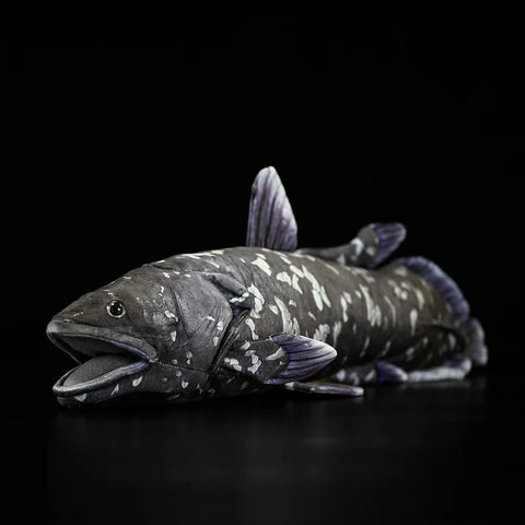 Coelacanth