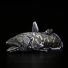 Coelacanth