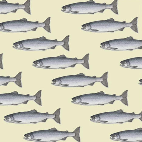 Yeesan Loh Gift Wrap