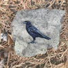 Bird Collective Patches