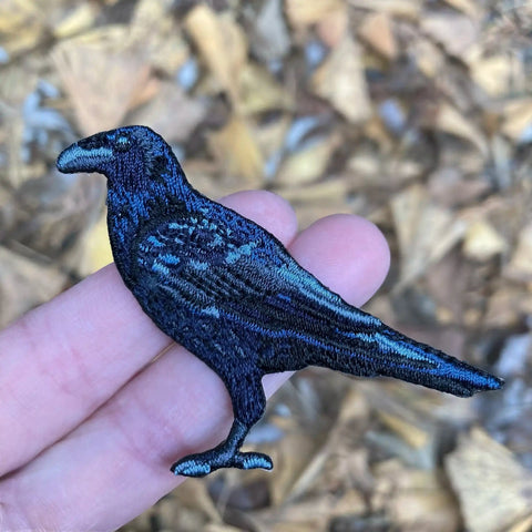 Bird Collective Patch Common Raven