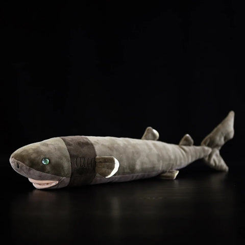 Cookiecutter Shark