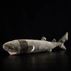 Cookiecutter Shark
