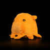 Dumbo Octopus