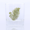 Bough & Antler cocktail glasses