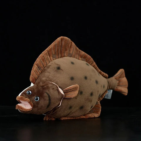 Flounder Fish