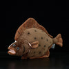 Flounder Fish