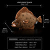 Flounder Fish