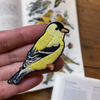 Bird Collective Patches