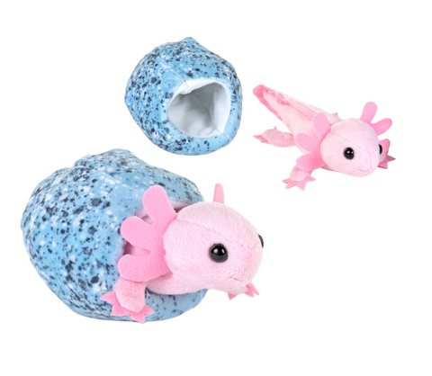 Hatching Axolotl