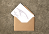 Natasha Van Netten greeting cards