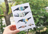 Natasha Van Netten greeting cards