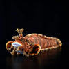 Japanese Warbonnet Fish