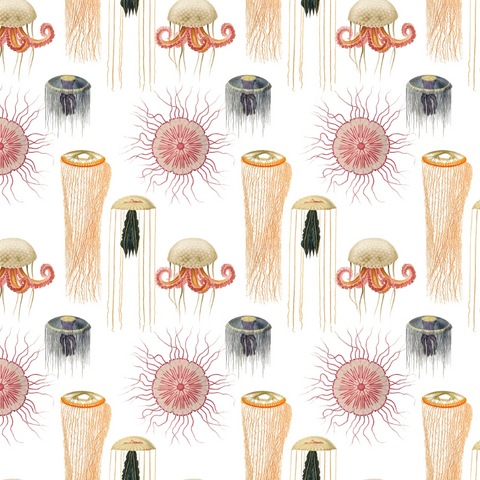 Fairhope Graphics Single Sheet Gift Wrap