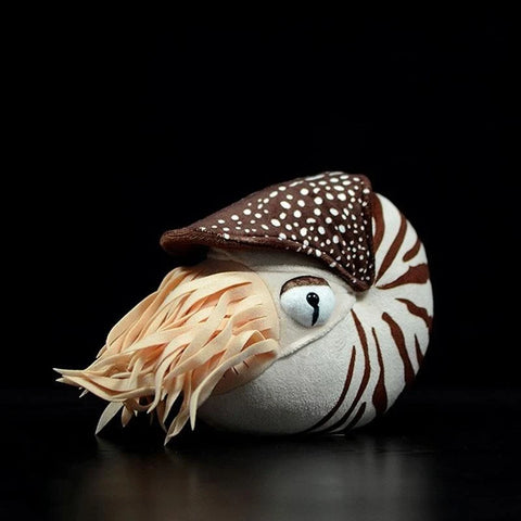 Nautilus