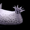 Sea Bunny Nudibranch