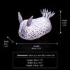 Sea Bunny Nudibranch